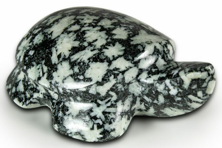 Carved Chinese Writing Rock Turtle - BC Canada #331638